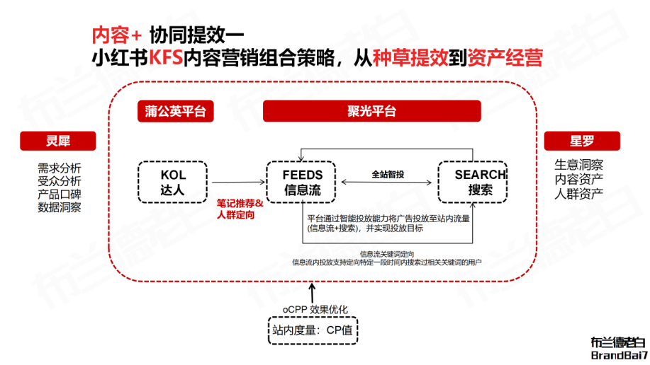 如何在小红书通过人本营销实现全域转化